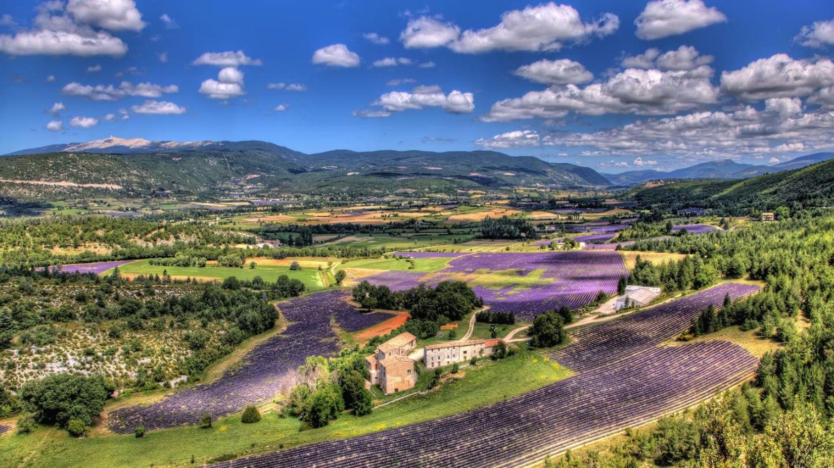 Gite Amour De Provence Châteaurenard Exterior foto